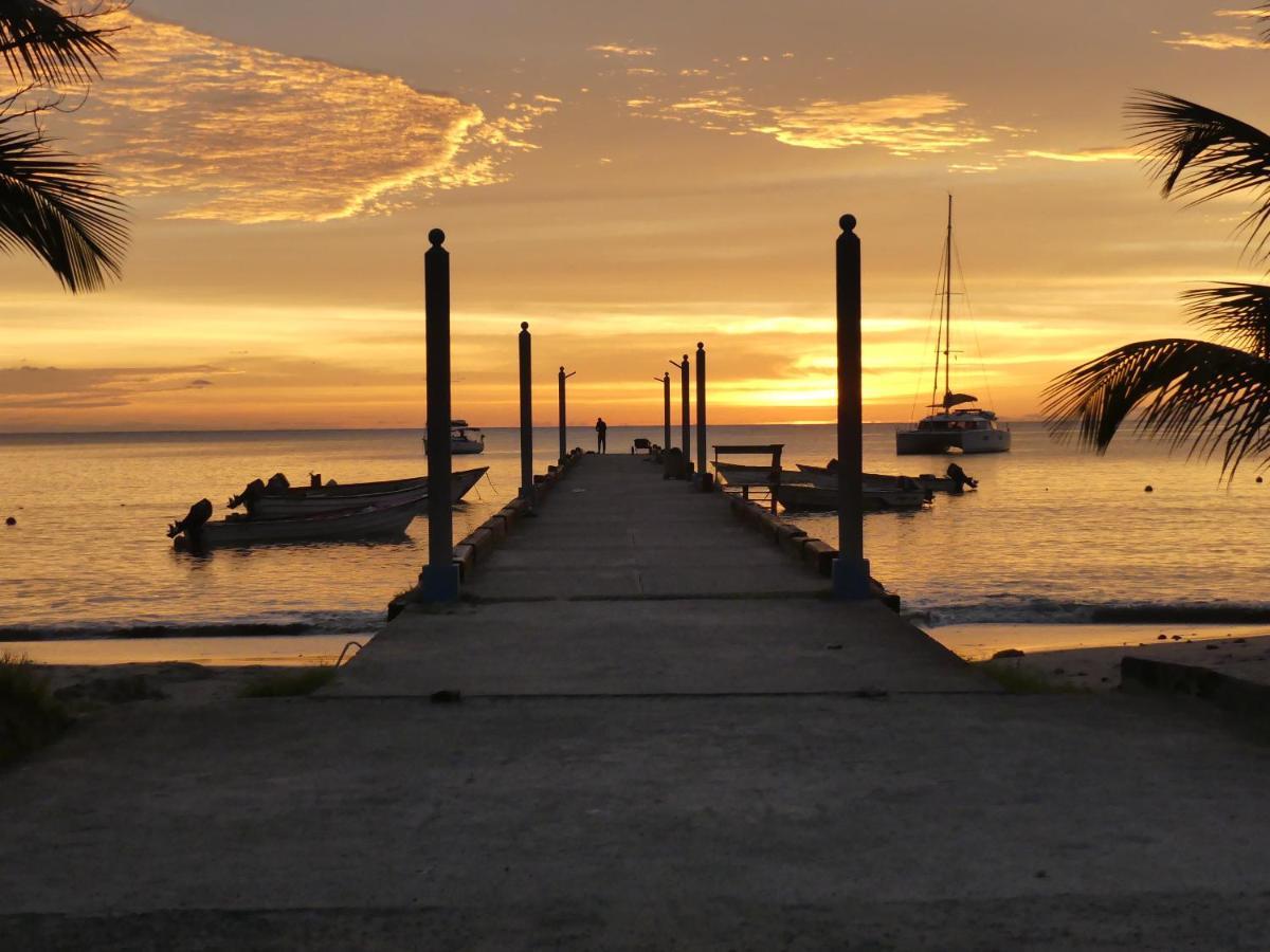 Southern Haven Guesthouse Laborie Bagian luar foto